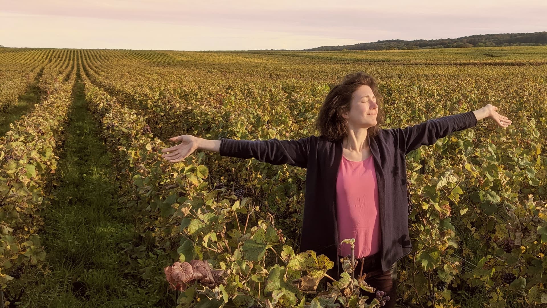 Alexandra in den Weinbergen, glücklich die Arme ausstreckend bei untergehender Sonne